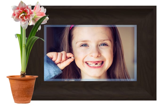 lopez-denistry-headerREV5 Lopez Dentistry Smiles Header | Dr. Alvaro Lopez DDS PA | Brevard NC